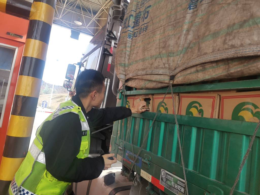 1729222550649010107.png 圖片2.png